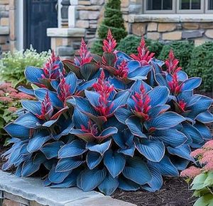 Хоста Грин Фог купить по цене от 669р. в интернет-магазине «Посадика» с доставкой почтой в в Закаменске и по всей России – [изображение №1].